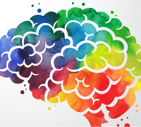 Cerebro de colores