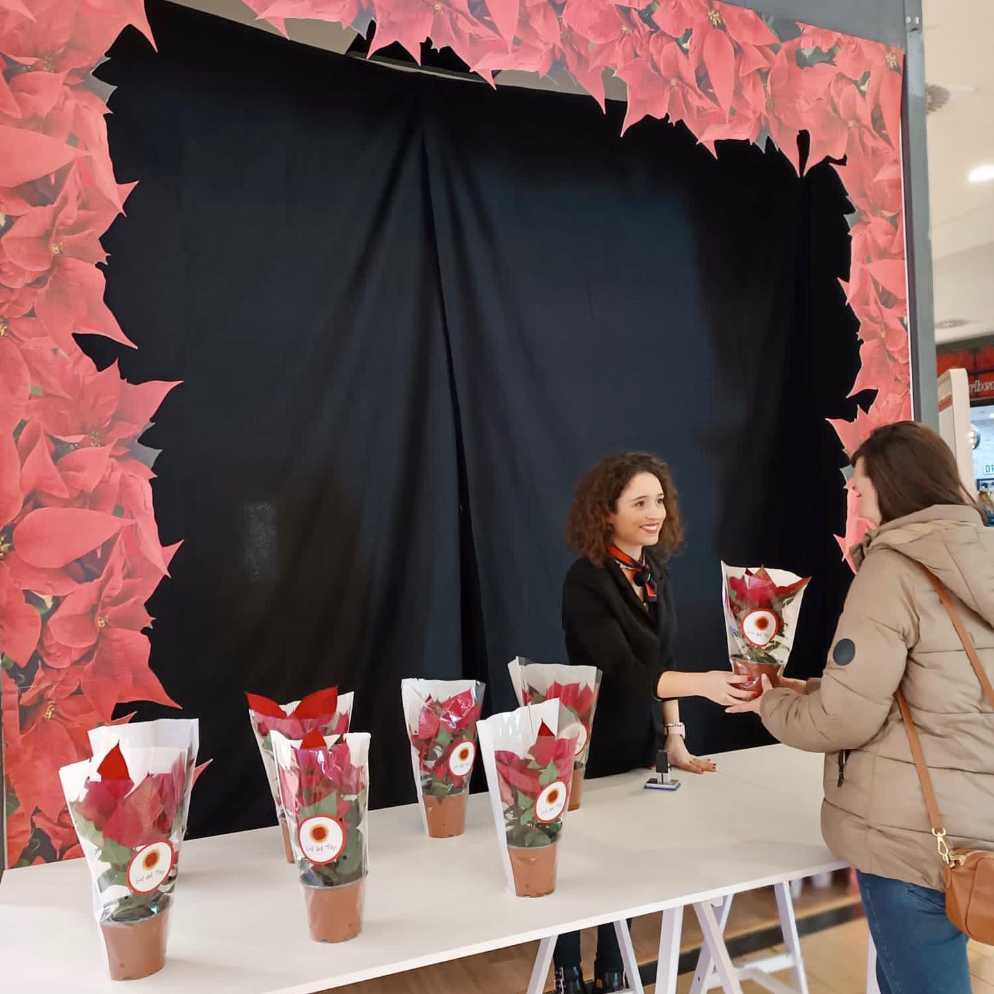 319691328 6157030244331399 1608611582486235941 n